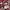 Nike Air Jordan 1 Low Cherrywood Red/ Grey Size 44 photo 2