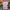 Jersey Hokkaido Nippon Ham Fighters 2019 2020
Original  