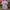 Jersey Hokkaido Nippon Ham Fighters 2019 2020
Original   photo 1