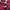 Jersey vintage arsenal photo 3