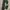 Stone island cargo pants junior 14 photo 5