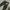Stone island cargo pants junior 14 photo 1