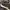 NIKE AIRMAX 97 OVERBRANDING photo 3