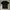 CP Company tee photo 1