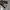 Gucci kamata sunglasess wanita photo 3