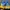 . HOKA ONE ONE TORRENT 2
 photo 4