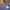 Baggy carpenter jeans TIMBERLAND 00s photo 4