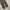 Bsrabbit baggy catton pants dark khaki photo 6
