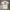 Polo Ralph Lauren Polo Shirt photo 6