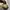 Wego m51 wide baggy pants photo 6