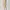 Love bonito beige dress photo 1