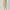 Love Bonito Beige Dress