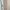 Love bonito beige dress photo 5