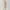 Love bonito beige dress photo 2