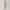 Love Bonito Beige Dress