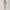 Love bonito beige dress photo 3