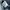 LONGPANTS DICKIES 9393RNB photo 7