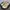 Keen Newport H2 Outdoor Sandal photo 5