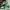 Air Jordan Low Lucky Green
size 42 photo 1