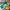 Air Jordan Low Lucky Green
size 42 photo 5