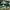 Air Jordan Low Lucky Green
size 42 photo 4