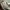 iphone 11 pro 64GB photo 1