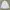 A.P.C. Luxury Minimalist Casual shirt Pria white photo 2