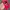 Vintage Streetwear Hat Pria red photo 4