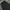 Cargo Ballon GU Wide Leg Black photo 5