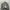 Salomon Snowboards Hoodie photo 3