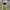 Salomon Snowboards Hoodie photo 6