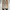 SELLING BRAND NEW URBAN&CO ARUNA NUDE photo 4