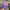 Vintage Streetwear Hat Pria Multicolor