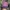 Vintage Streetwear Hat Pria Multicolor