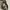Topi realtree photo 5
