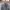 Uniqlo blocktech Jacket  photo 3