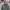 Uniqlo blocktech Jacket  photo 2