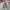 Uniqlo Blocktech Jacket 