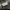 Global Work Streetwear Sportswear Casual shirt Pria white gray photo 6