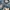 Westwood trucker denim ripped type 2 blue jeans selvedge ac photo 4