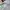 Champion Streetwear Sportswear Sweatpants & Joggers Pria white photo 4