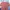 Cemeja crop top atasan wanita photo 1