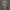 Mountain Gear Waterproof Outdoor Jacket not gorpcore photo 5