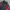 Mountain Gear Waterproof Outdoor Jacket not gorpcore photo 2