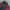 Mountain Gear Waterproof Outdoor Jacket Not Gorpcore