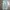 TINT cargo blue jeans photo 3