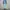 TINT cargo blue jeans photo 1