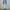 TINT Cargo Blue Jeans
