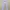 Dickies Streetwear Casual Casual pants Pria white photo 1