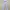 Dickies Streetwear Casual Casual Pants Pria White